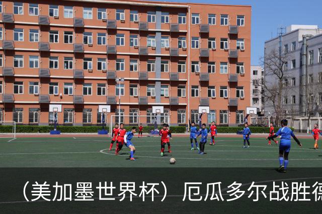 （美加墨世界杯）厄瓜多尔战胜德国晋级 科特迪瓦送库拉索出局